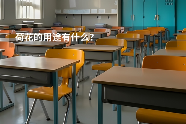 荷花的用途有什么？