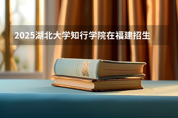 2025湖北大学知行学院在福建招生计划一览表