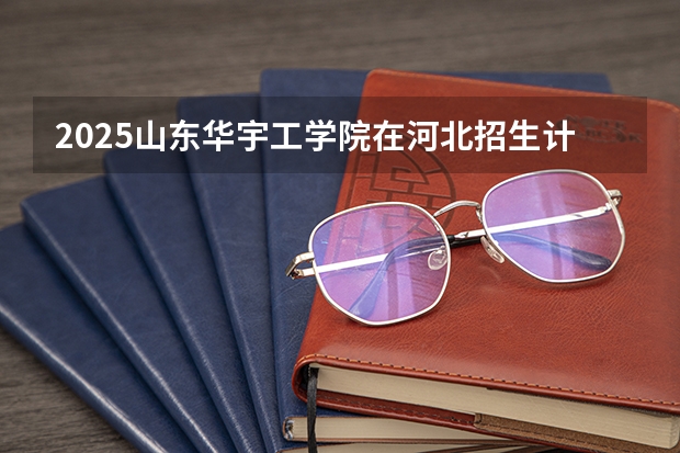 2025山东华宇工学院在河北招生计划一览表
