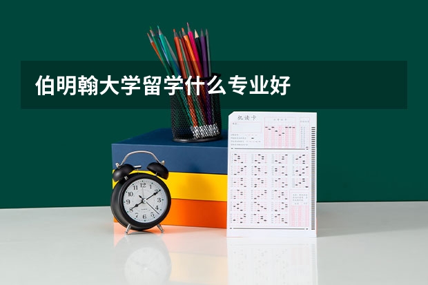 伯明翰大学留学什么专业好