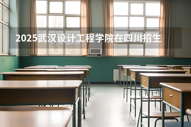 2025武汉设计工程学院在四川招生计划一览表