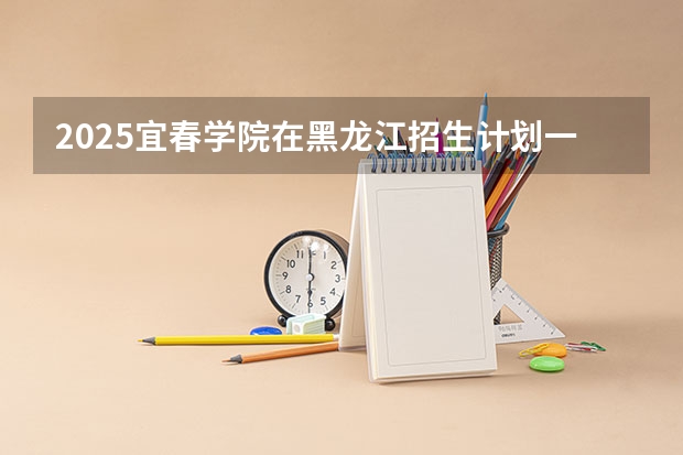 2025宜春学院在黑龙江招生计划一览表