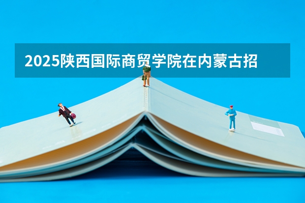 2025陕西国际商贸学院在内蒙古招生计划一览表