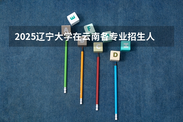 2025辽宁大学在云南各专业招生人数一览
