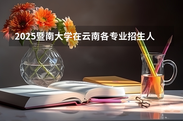 2025暨南大学在云南各专业招生人数一览