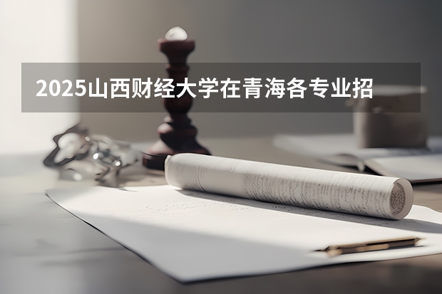 2025山西财经大学在青海各专业招生人数一览