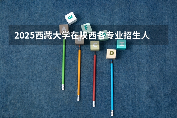 2025西藏大学在陕西各专业招生人数一览