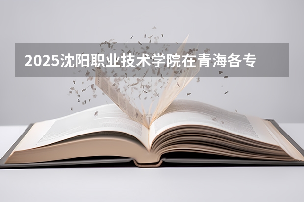 2025沈阳职业技术学院在青海各专业招生人数一览