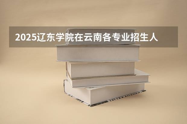 2025辽东学院在云南各专业招生人数一览