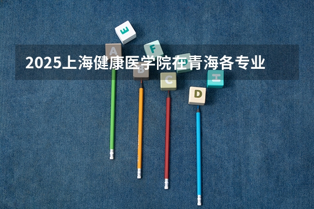 2025上海健康医学院在青海各专业招生人数一览
