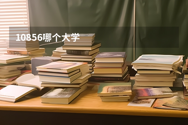 10856哪个大学