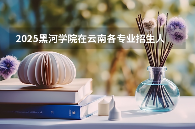 2025黑河学院在云南各专业招生人数一览