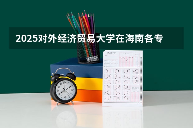 2025对外经济贸易大学在海南各专业招生人数一览
