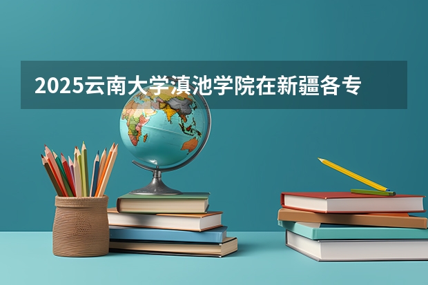 2025云南大学滇池学院在新疆各专业招生人数一览