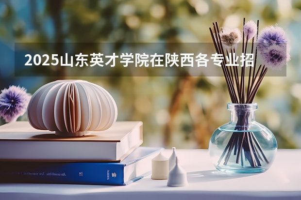 2025山东英才学院在陕西各专业招生人数一览