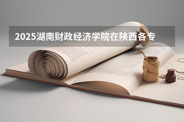 2025湖南财政经济学院在陕西各专业招生人数一览