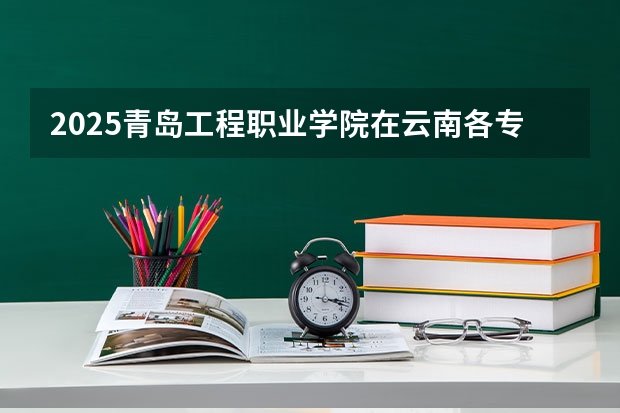 2025青岛工程职业学院在云南各专业招生人数一览