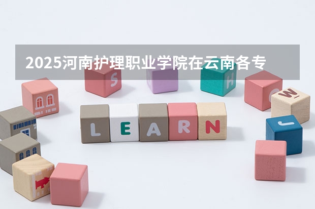 2025河南护理职业学院在云南各专业招生人数一览