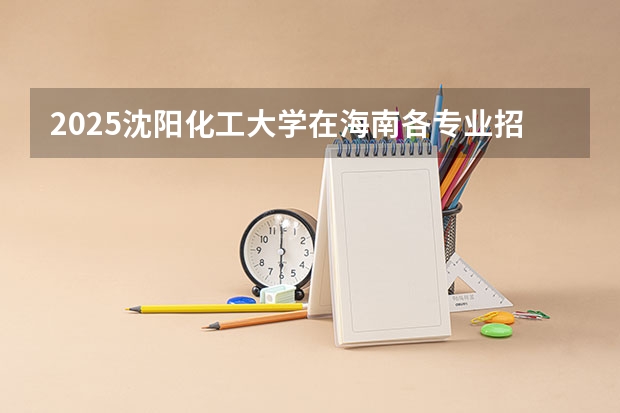 2025沈阳化工大学在海南各专业招生人数一览