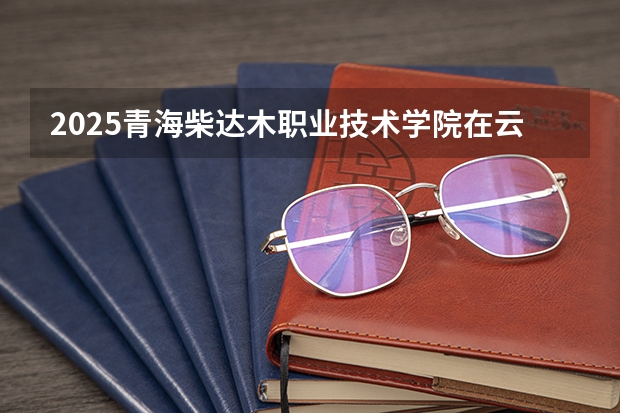 2025青海柴达木职业技术学院在云南各专业招生人数一览