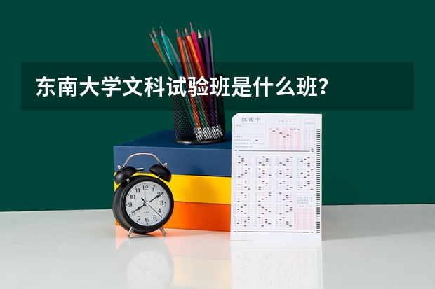 东南大学文科试验班是什么班？