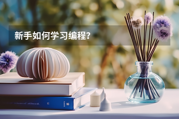 新手如何学习编程？