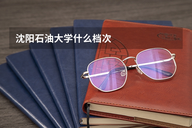 沈阳石油大学什么档次