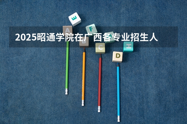 2025昭通学院在广西各专业招生人数一览（2026参考）