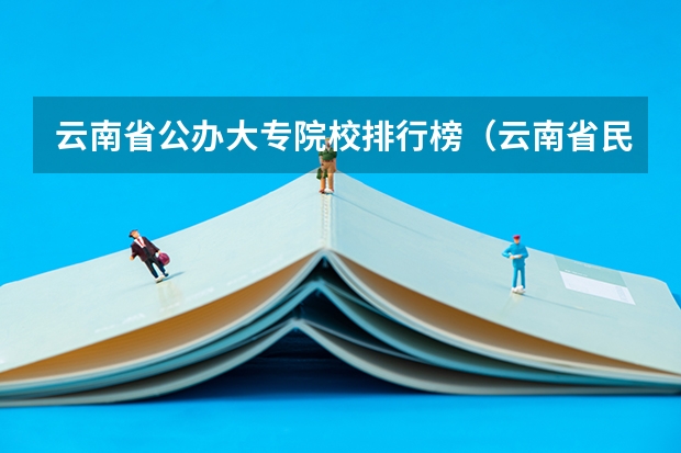 云南省公办大专院校排行榜（云南省民办本科大学排名）