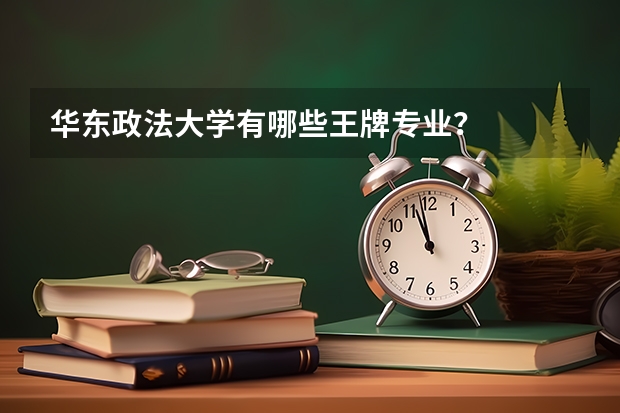 华东政法大学有哪些王牌专业？