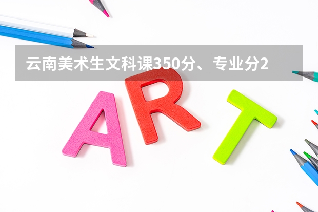 云南美术生文科课350分、专业分228分可以报考哪些院校？