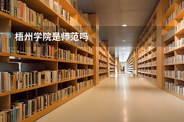梧州学院是师范吗